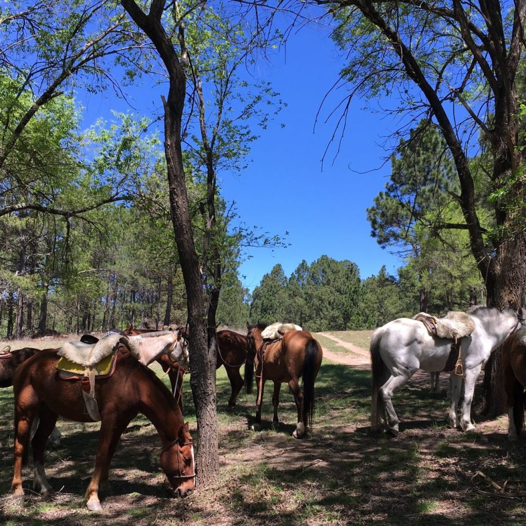 horseback riding in Argentina